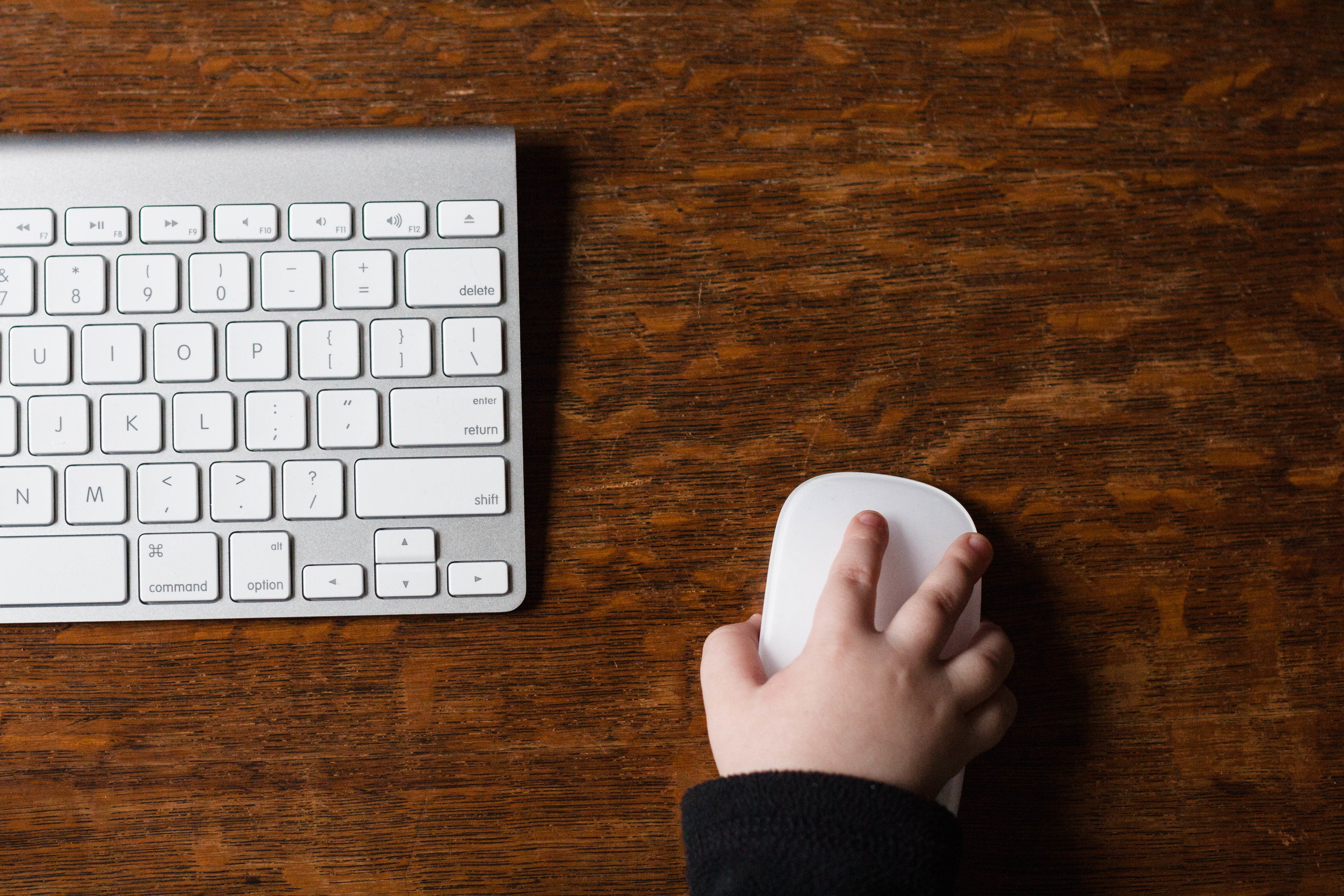 Wisdom for Raising Boys in an Online World