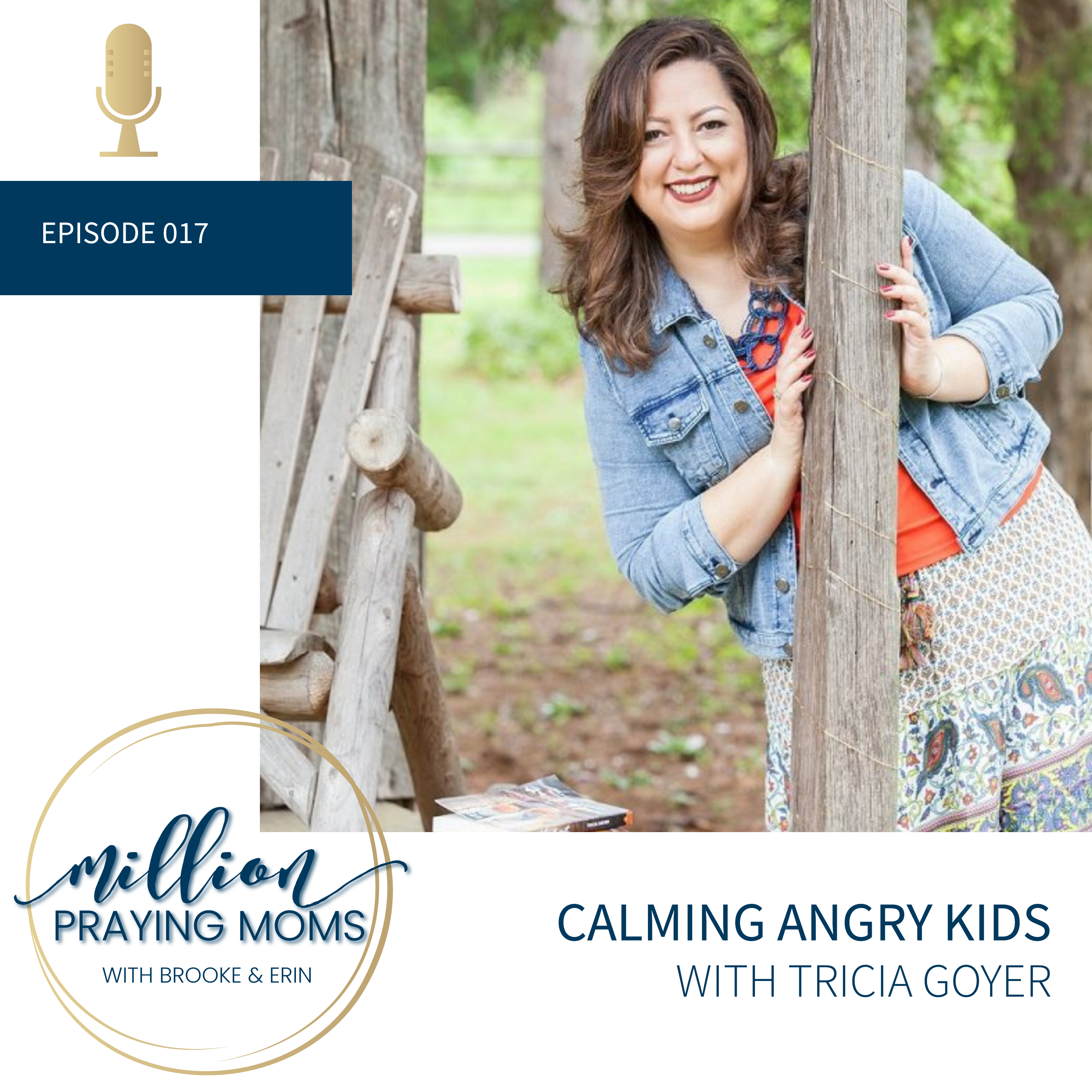 #017: Calming Angry Kids