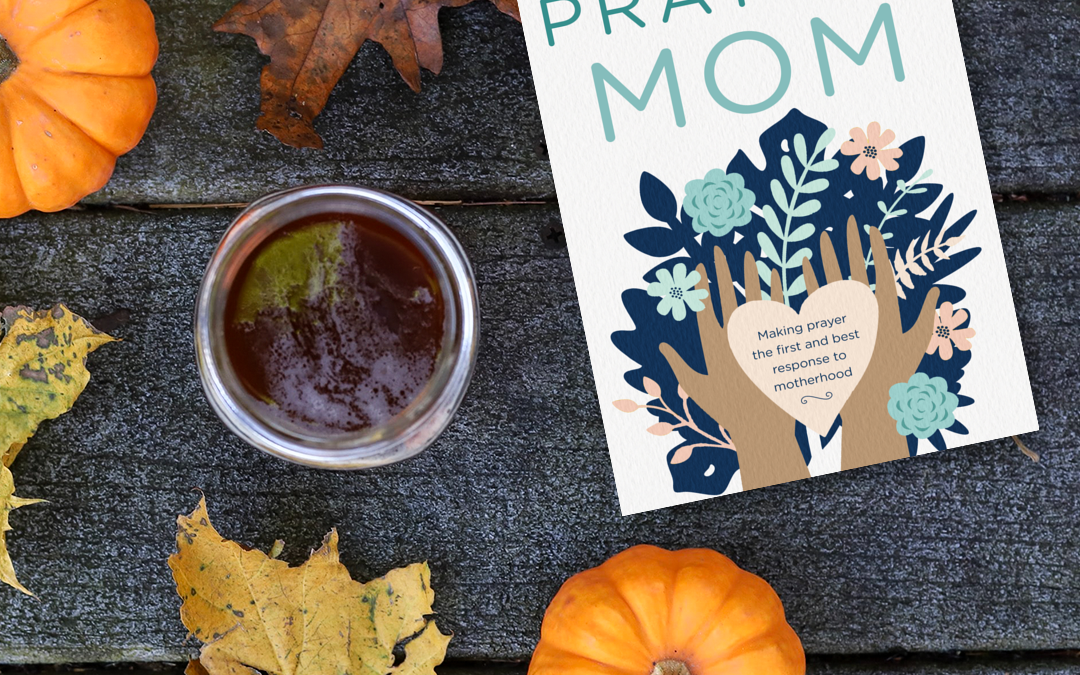 SPECIAL BONUS PODCAST! Listen to Brooke Read Praying Mom, Chapter 3