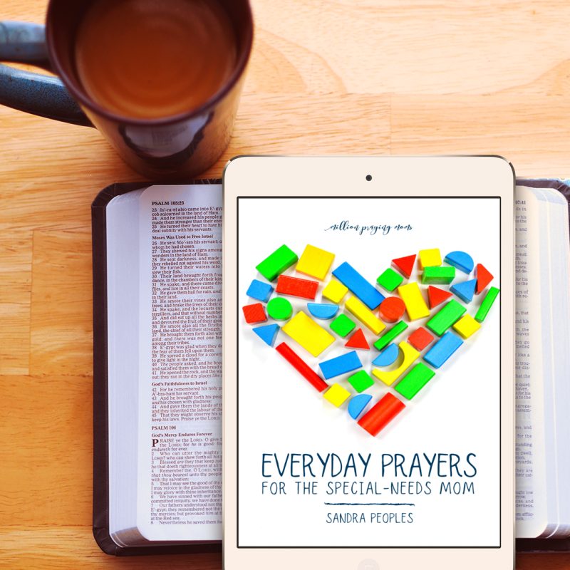 Everyday Prayers for Special-Needs Moms