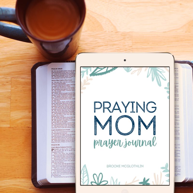 Praying Mom Prayer Journal