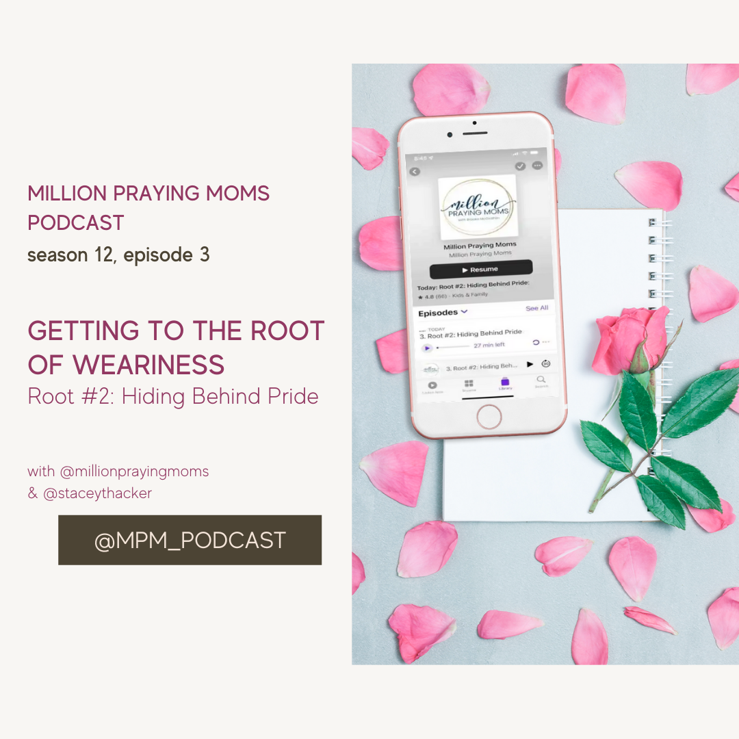 {Root of Weariness #2} Hiding Behind Pride