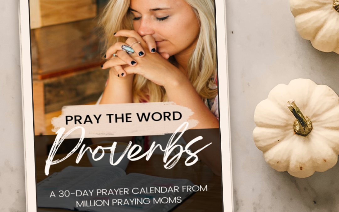 Proverbs Prayer Calendar