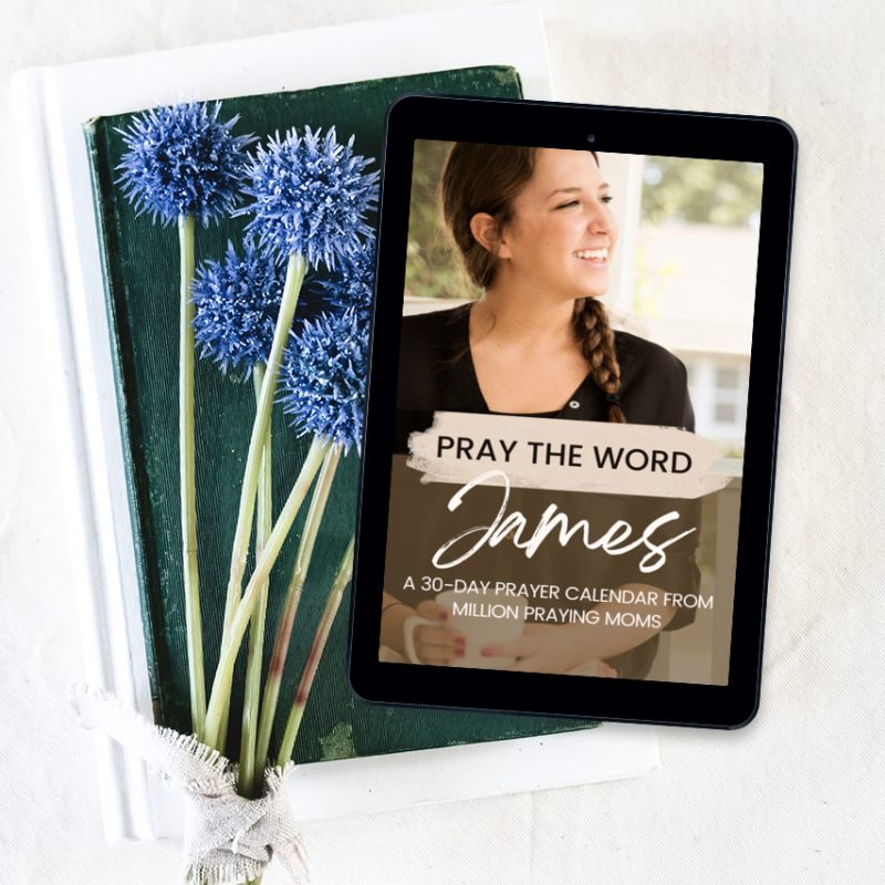 James Prayer Calendar