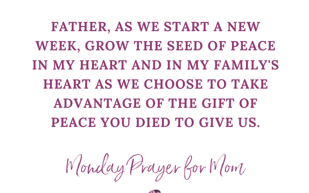 {A Monday Prayer} for Peace (when you don’t understand peace)