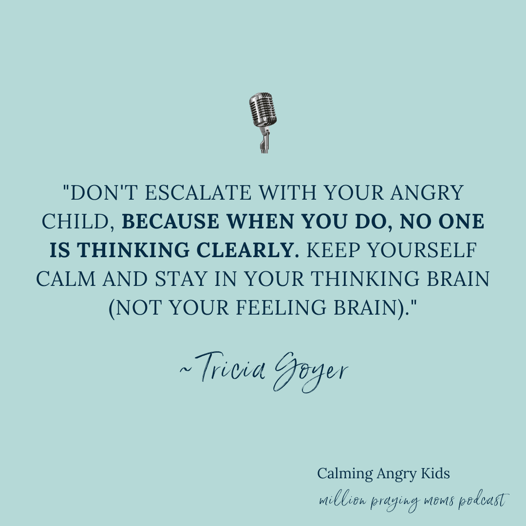 Calming Angry Kids, with Tricia Goyer