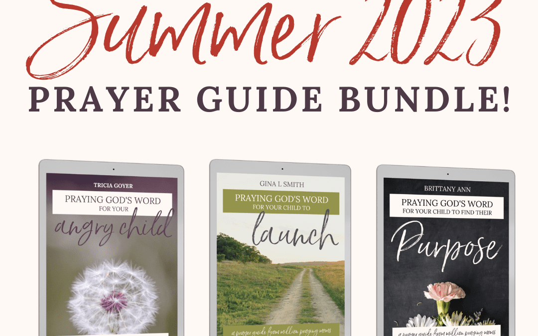 Summer 2023 Prayer Guides Bundle