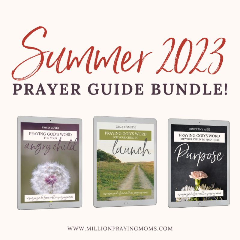 Summer 2023 Prayer Guides Bundle