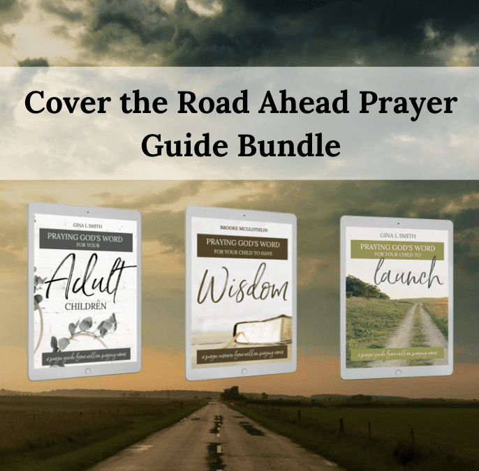 Cover the Road Ahead Prayer Guides Bundle