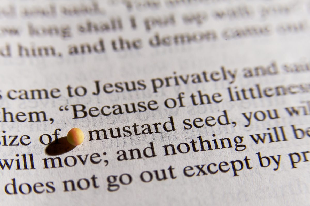 A Prayer to Parent from a Place of Faith