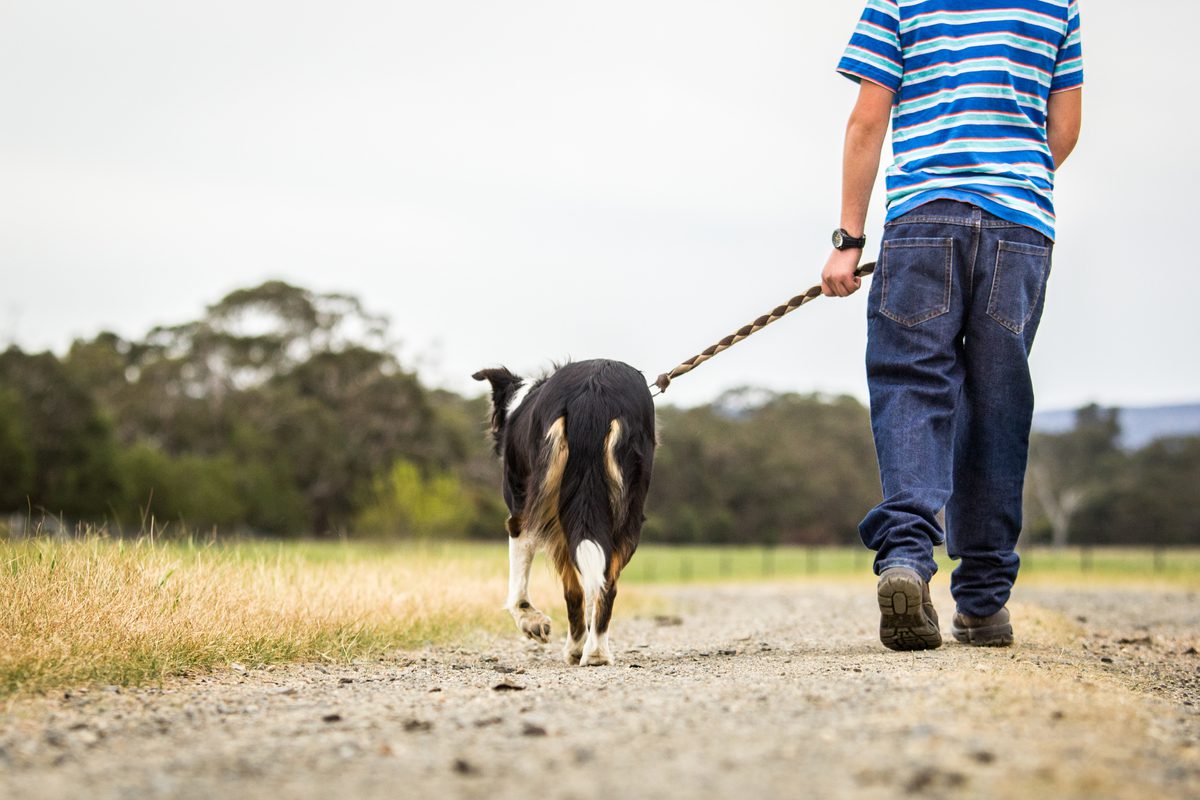 A Prayer for Walking in Integrity