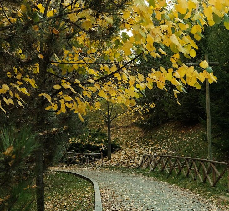 A Prayer to Know God is Faithfully Present