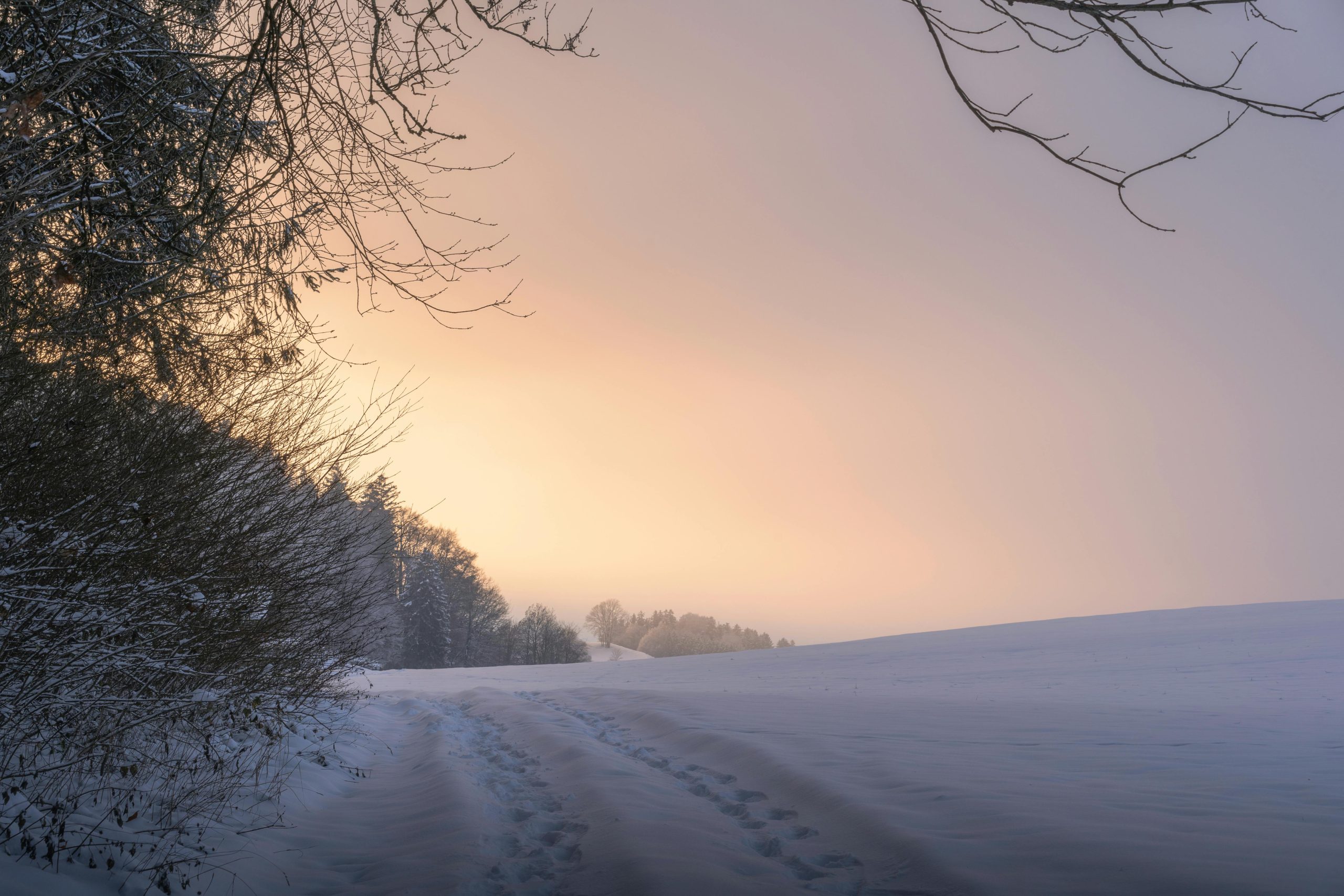 A Prayer to Look Upon the Light