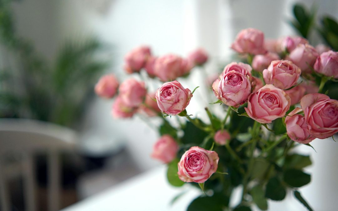 A Prayer for Love that is Patient