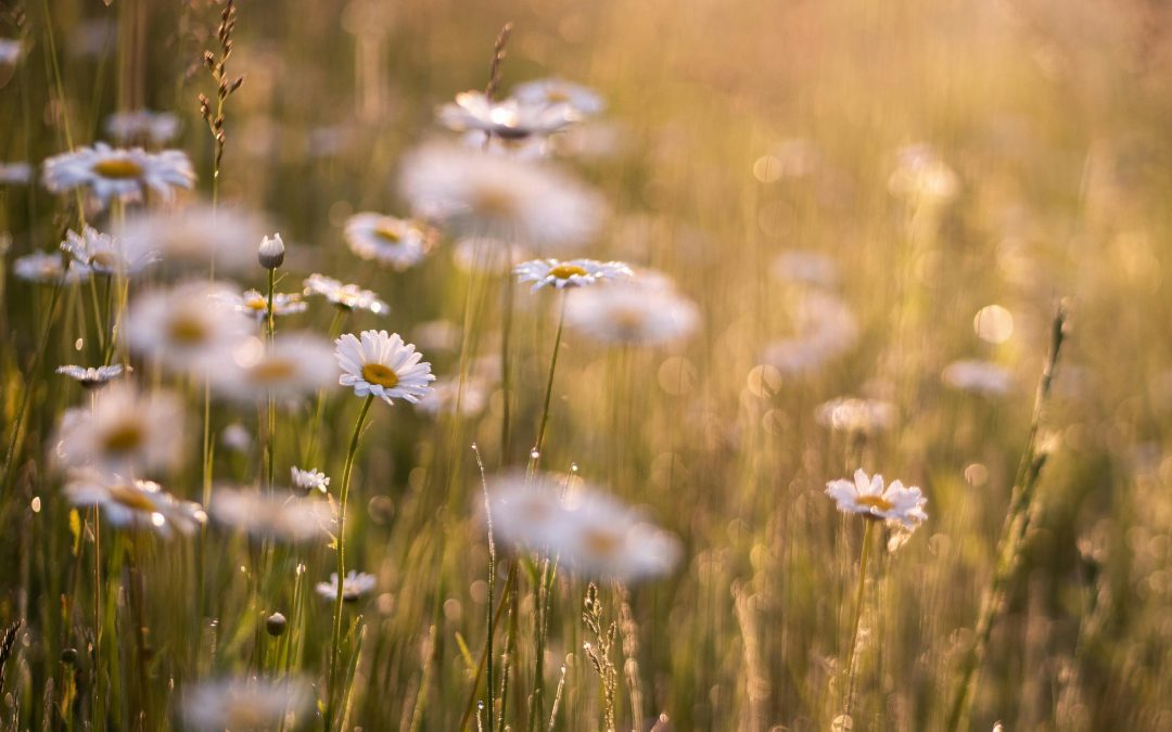 A Prayer for Love that Always Hopes