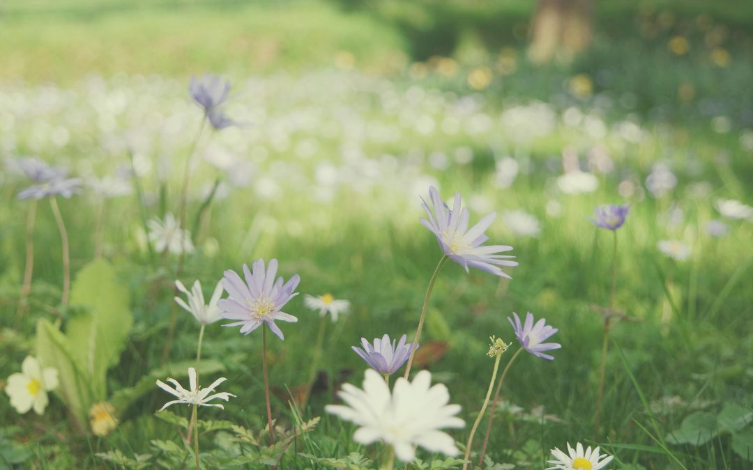 A Prayer to Live with Humility