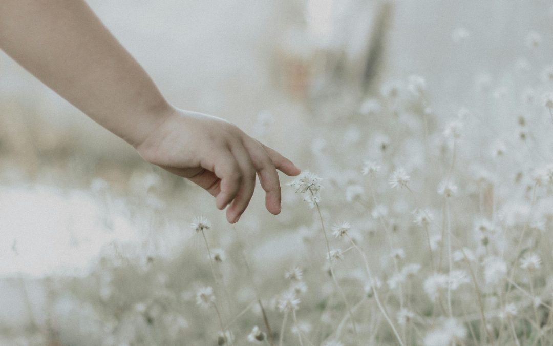 A Prayer to Use our Power Gently