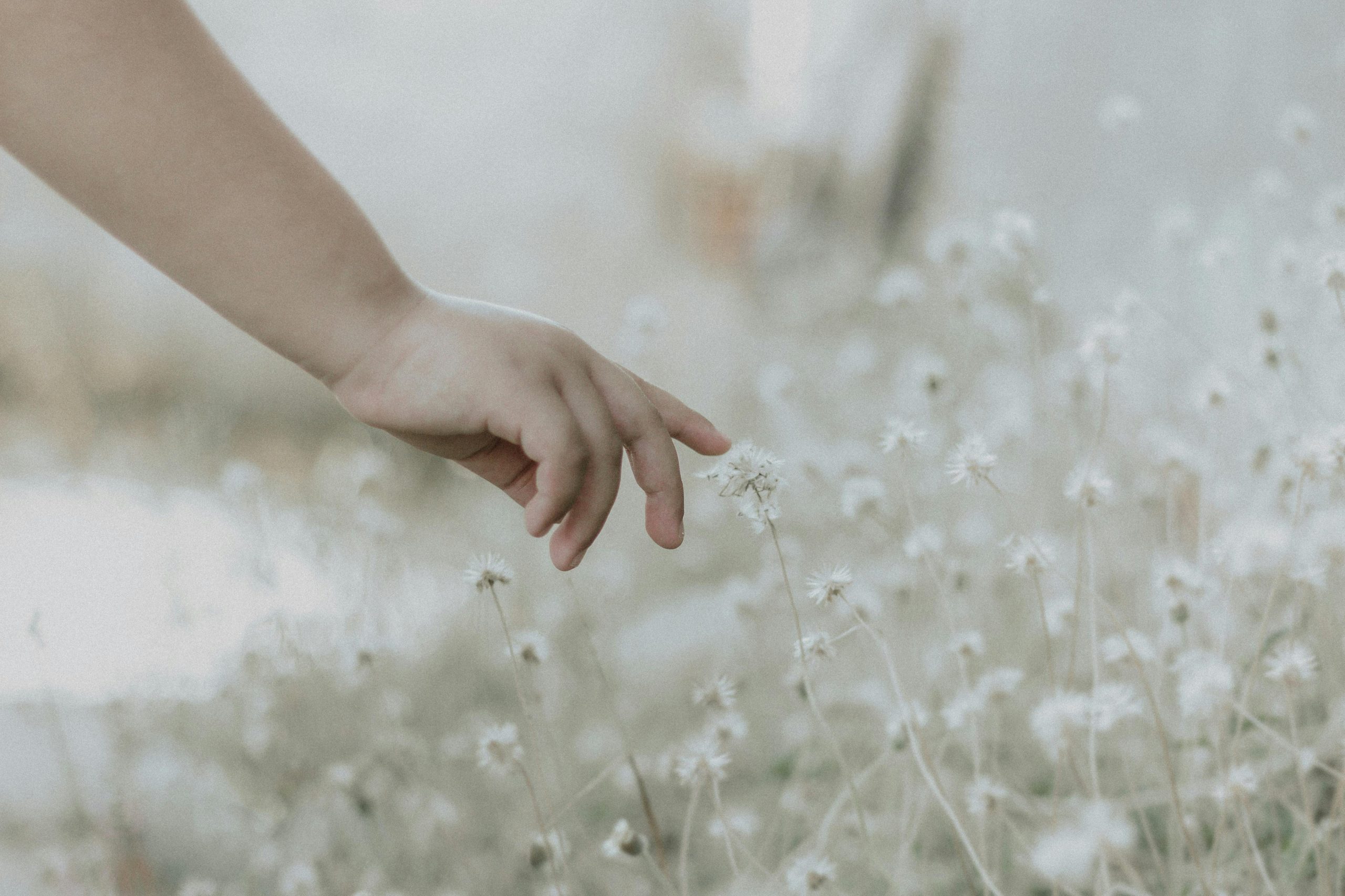 A Prayer to Use our Power Gently